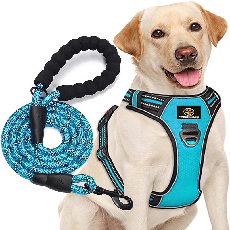 Custom Dog Vest reflekterandenylon stor spänne reversibel hund sele med koppel